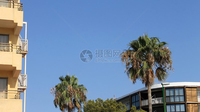 会议旅游后期总结：如何有效提升未来活动质量